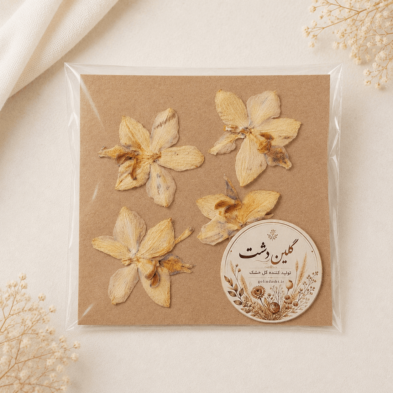 سرگل ارکیده مینیاتوری پرسی خشک طبیعی – کرمِ آفتاب‌خورده با جزئیات محو (۴ عددی)