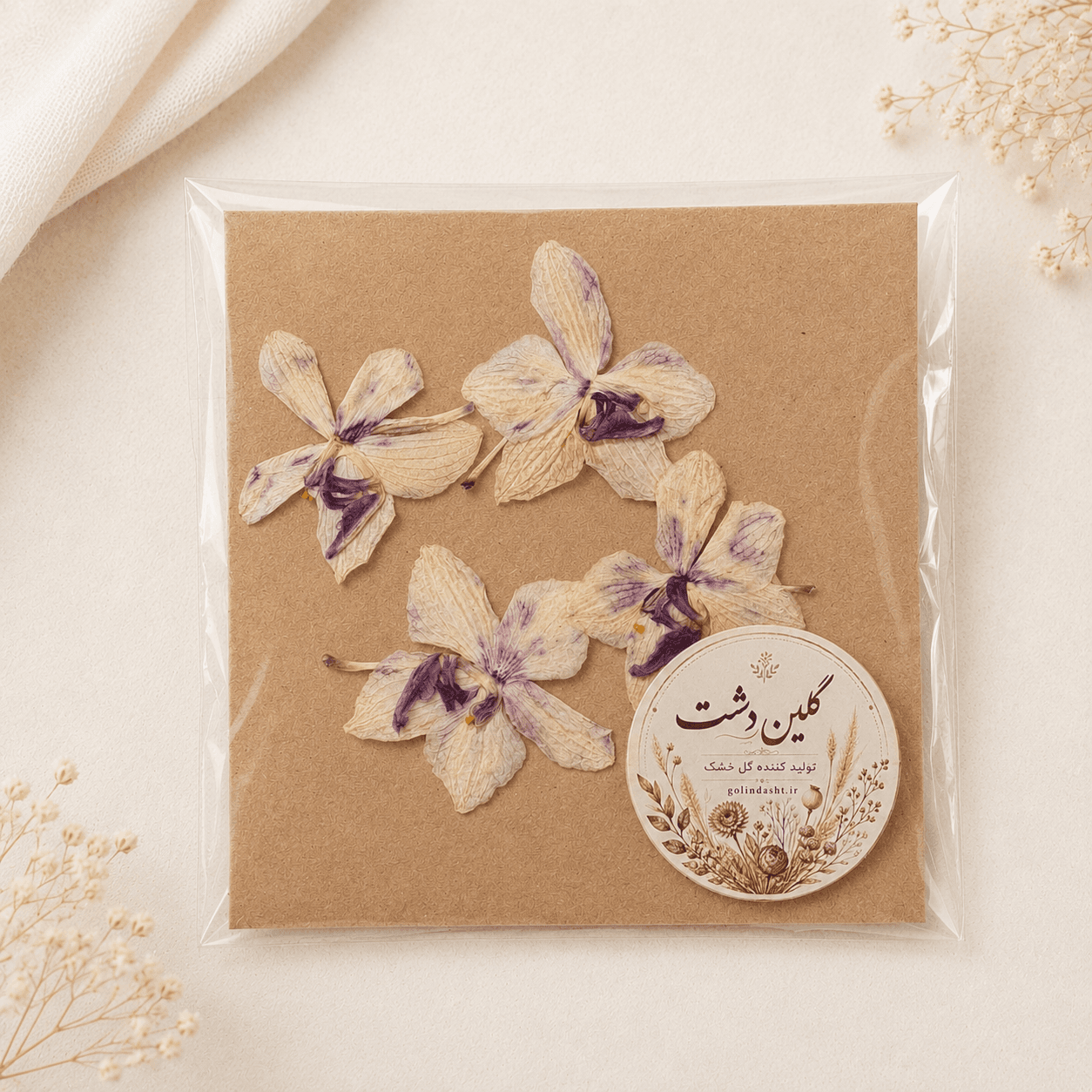 سرگل ارکیده مینیاتوری پرسی خشک طبیعی – زمینه کرم-نخودی با مرکز بنفش (۴ عددی)