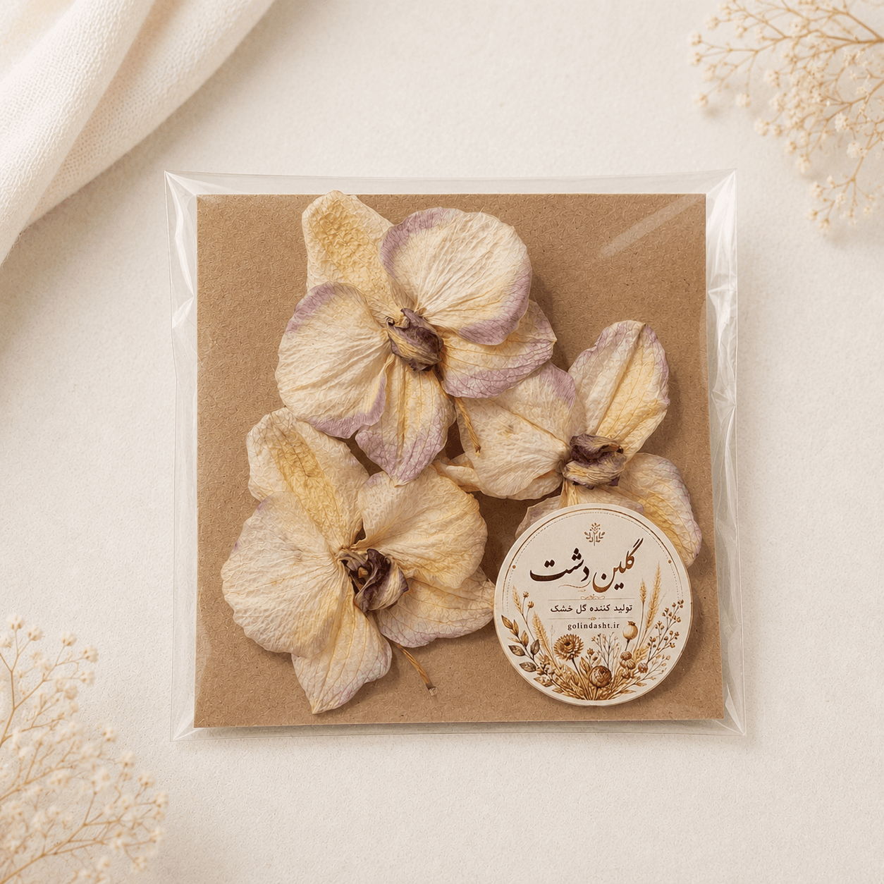 سرگل ارکیده مینیاتوری خشک طبیعی – کرم استخوانی با سایه بنفش دودی – (۳ عددی)