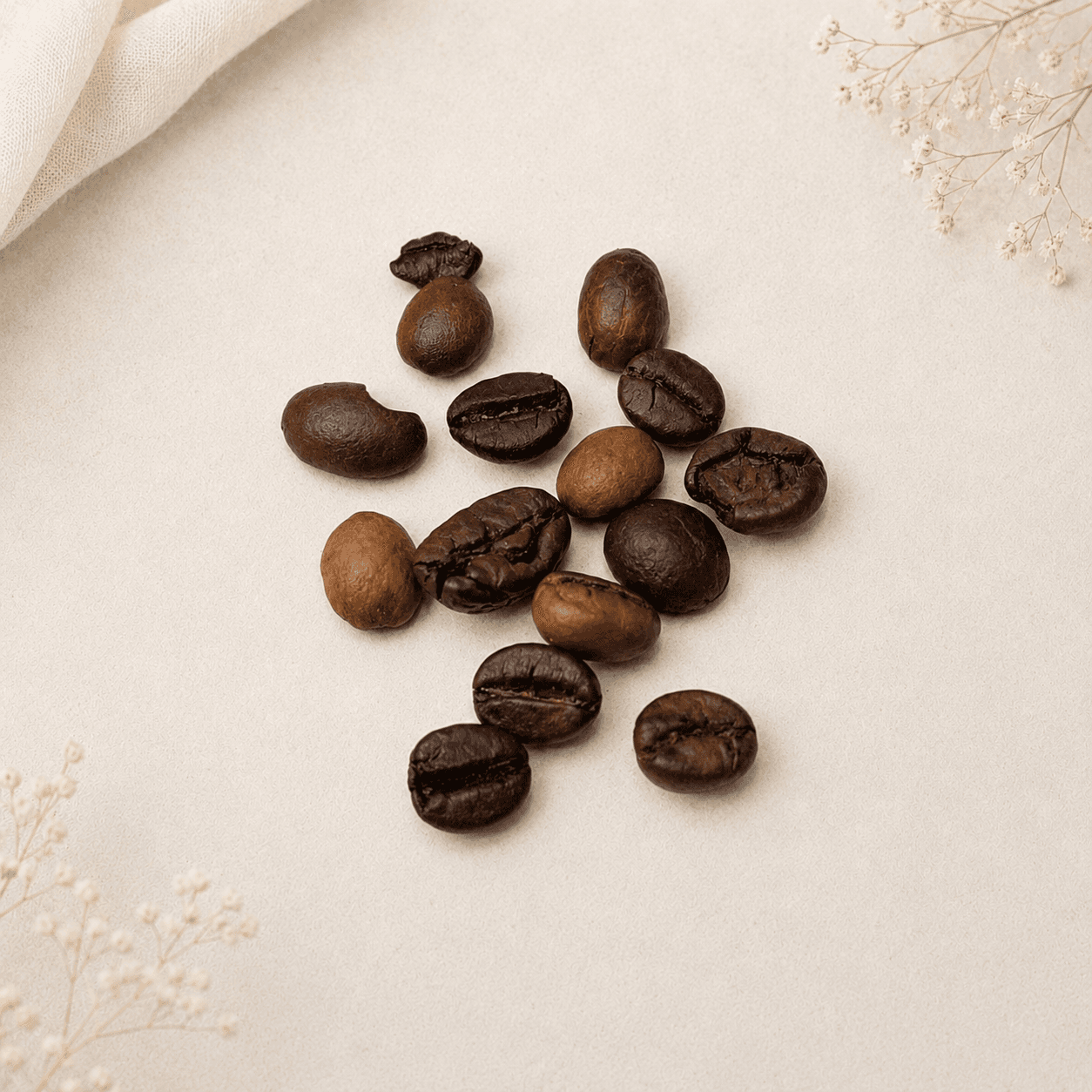 دانه قهوه خشک طبیعی – طیف قهوه‌ای و کرم (۱۲ گرمی) — تصویر ۲