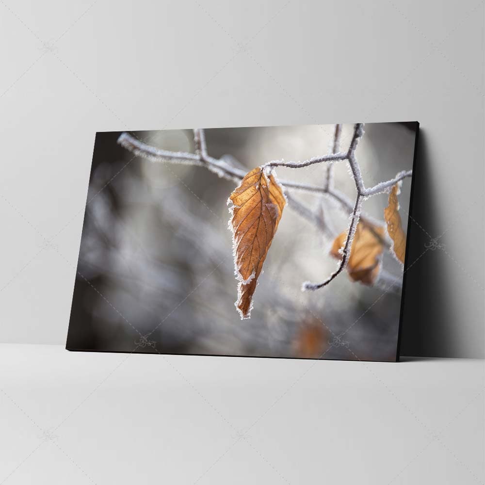 تابلو شاسی طرح برگ‌های پاییزی بر شاخه درخت کد 4G-AVZ-6015