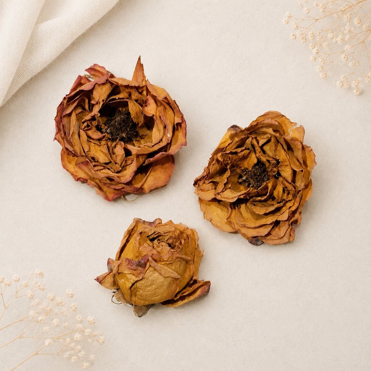 سرگل رز مینیاتوری خشک طبیعی – نارنجی لب‌ماتیکی (۳ عددی گل درشت) — تصویر ۲