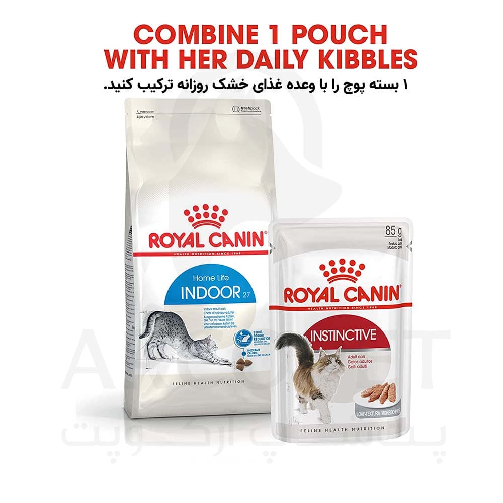 غذای گربه رویال کنین ایندور 10 کیلویی Indoor — تصویر ۵