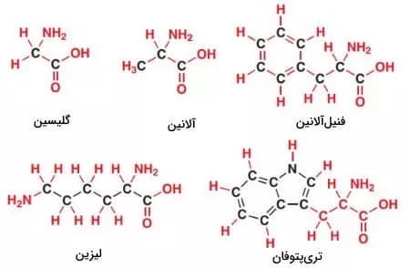 جمع بندی همه ترکیب های آلی شیمی کنکور | دانلود | کتاب خوان