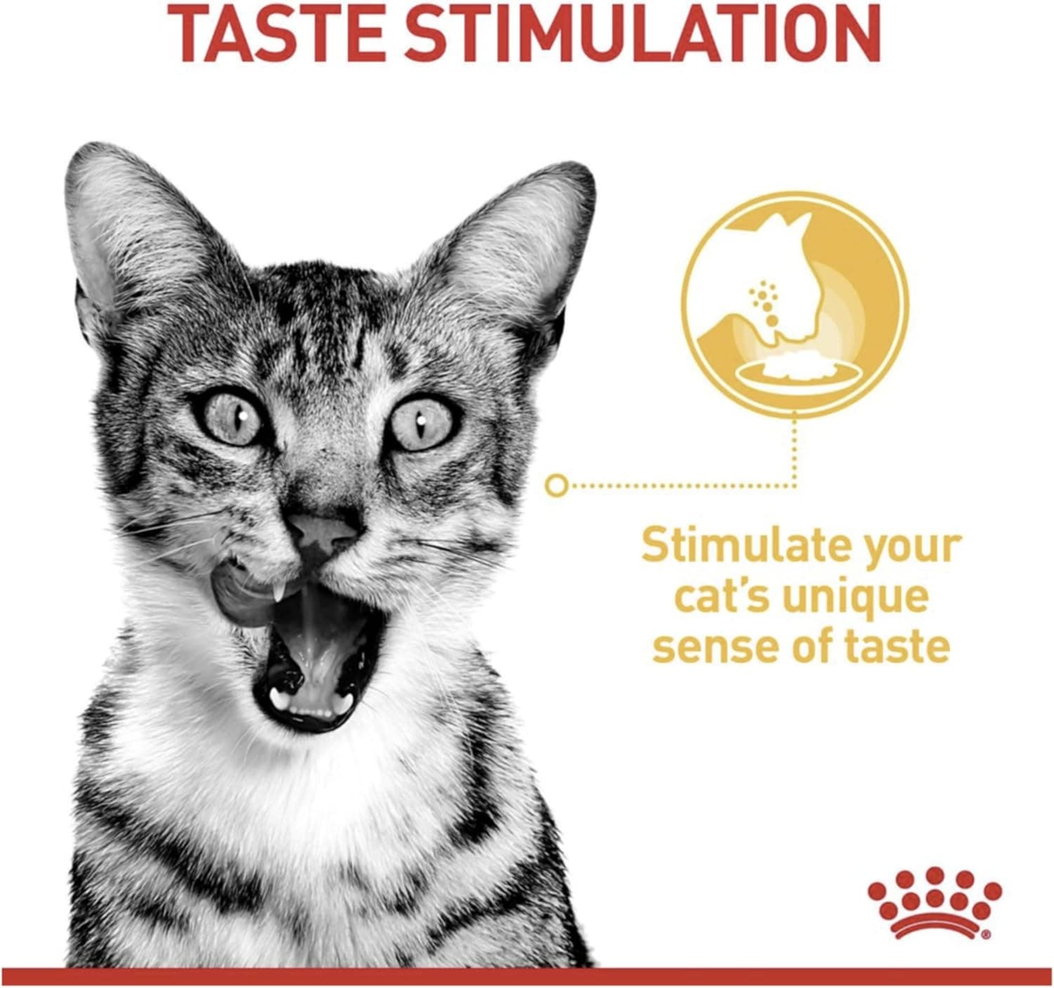 پوچ گربه سنسوری رویال کنین مدل بدغذا Sensory Taste بسته 12 عددی — تصویر ۷