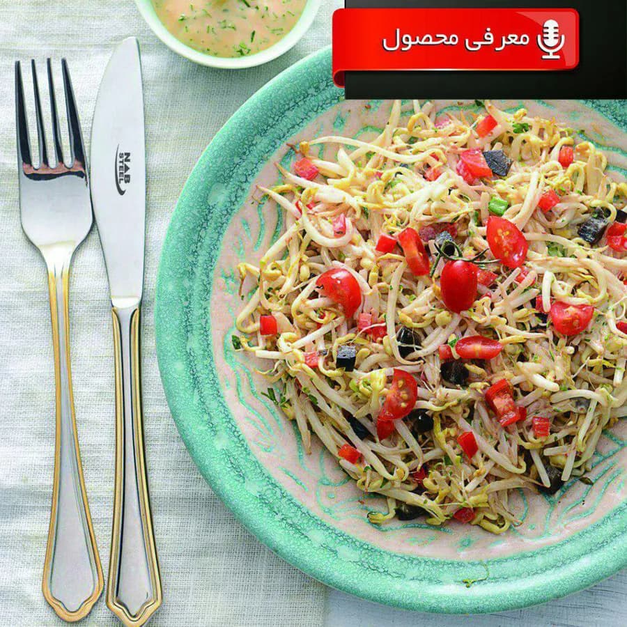سرویس قاشق چنگال ناب استیل 86 پارچه ونیز استیل طلایی و براق (دور طلا) — تصویر ۳