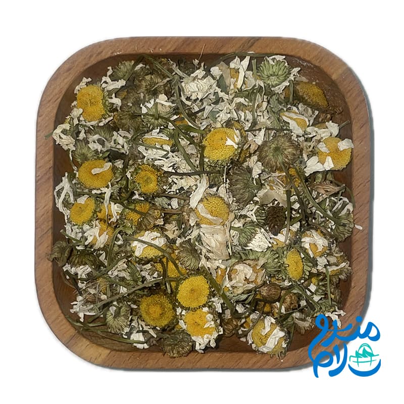 بابونه درشت — تصویر ۲