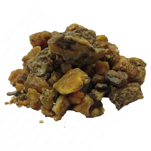 صمغ آنغوزه (انغوزه) — تصویر ۴