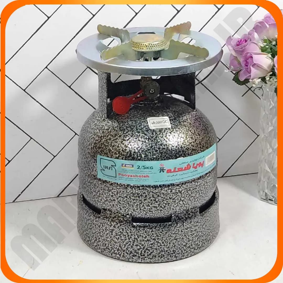 پیک نیک 2.5 کیلویی با خوراک پز پویا شعله