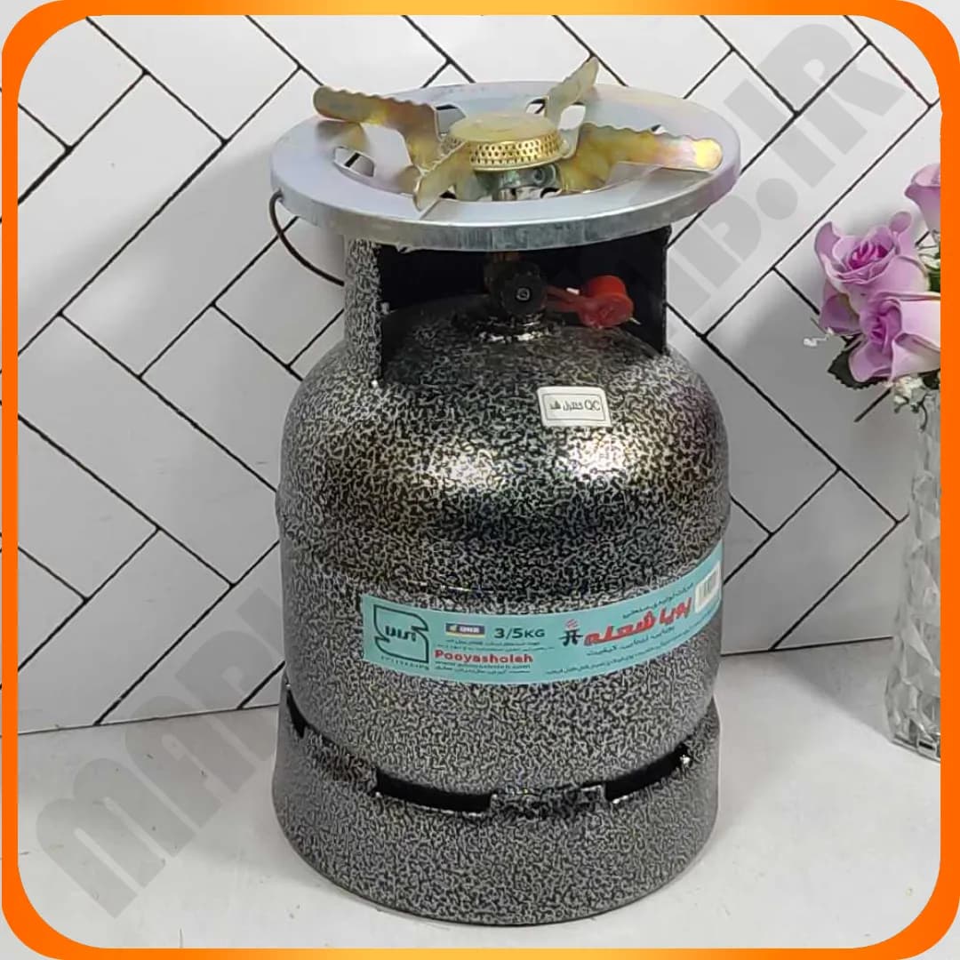 پیک نیک 3.5 کیلویی با خوراک پز پویا شعله