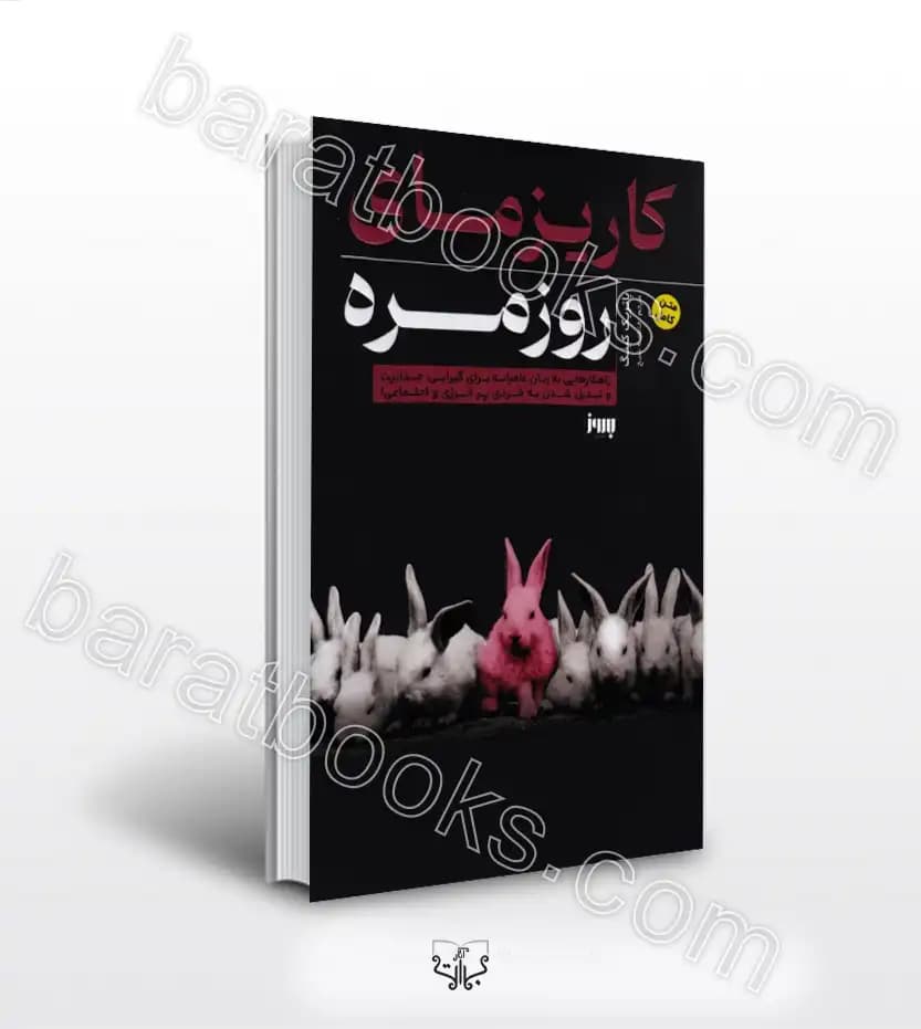 کاریزمای روزمره اثر پاتریک کینگ | خرید با تخفیف