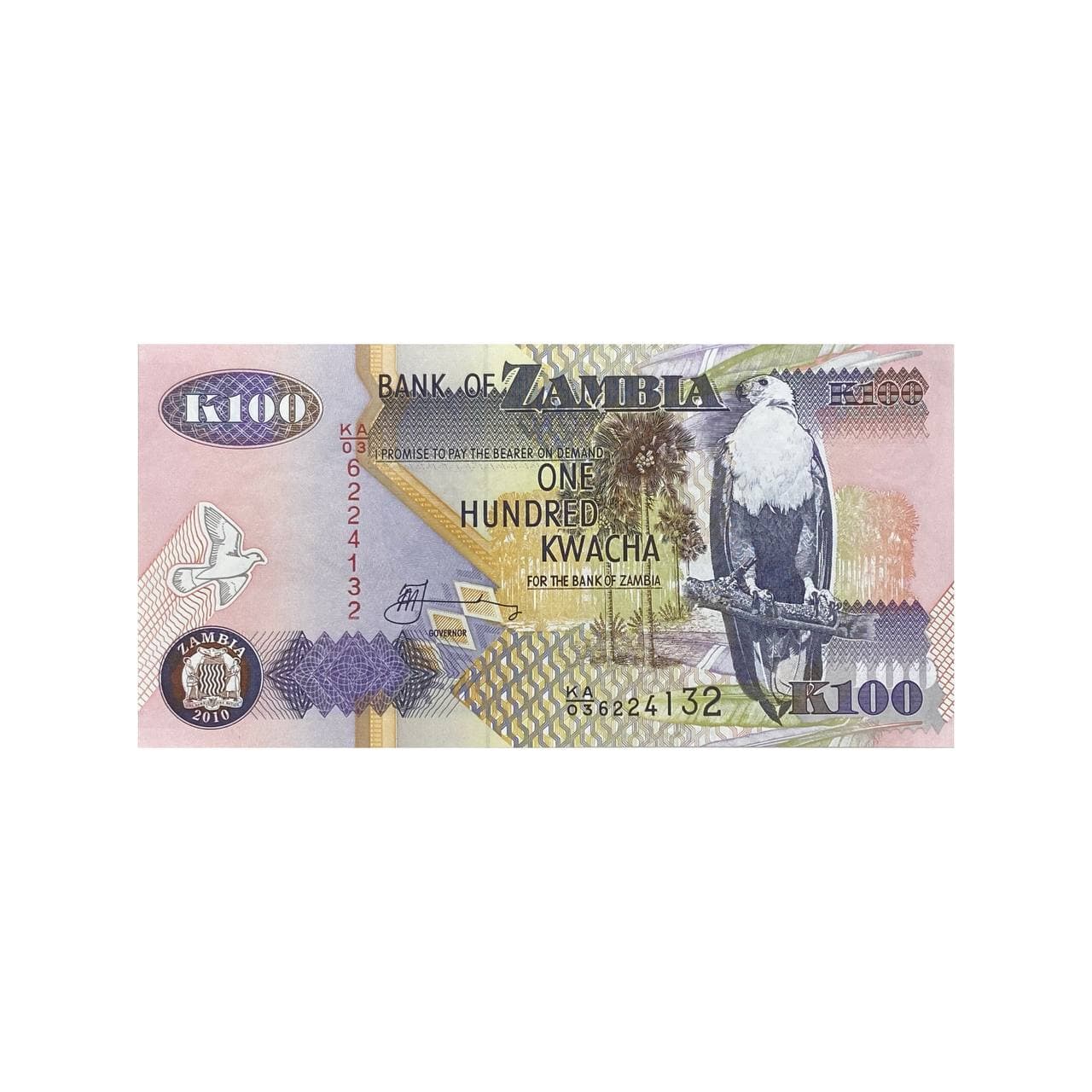 اسکناس 100 کوآچا زامبیا