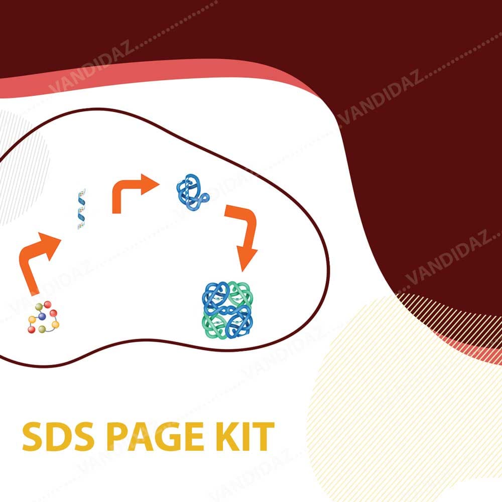 کيت SDS-PAGE