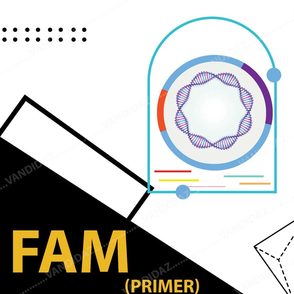پرایمر FAM