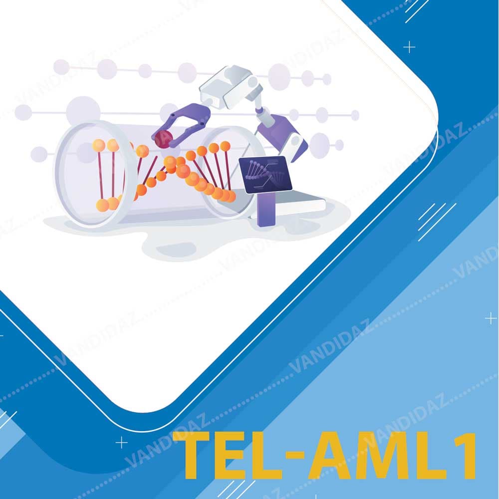 کیت تشخیص TEL-AML1