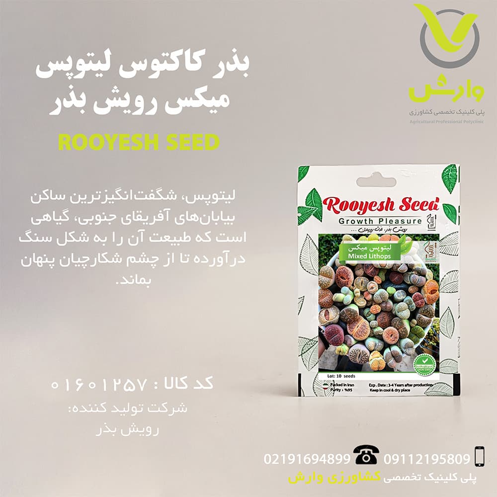 بذر کاکتوس لیتوپس میکس رویش بذر