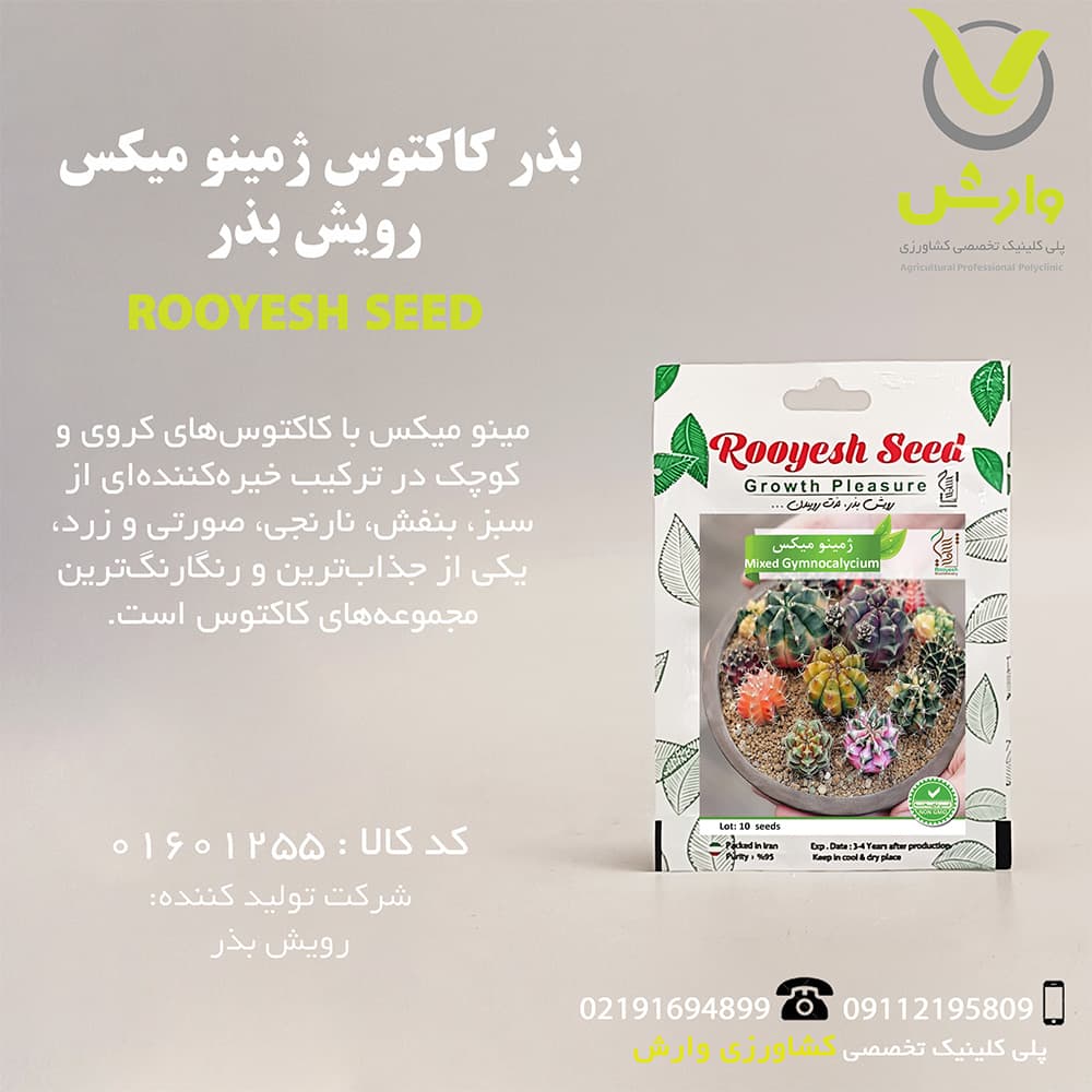بذر کاکتوس ژمینو میکس رویش بذر