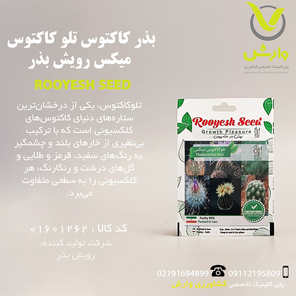بذر کاکتوس تلو کاکتوس میکس رویش بذر