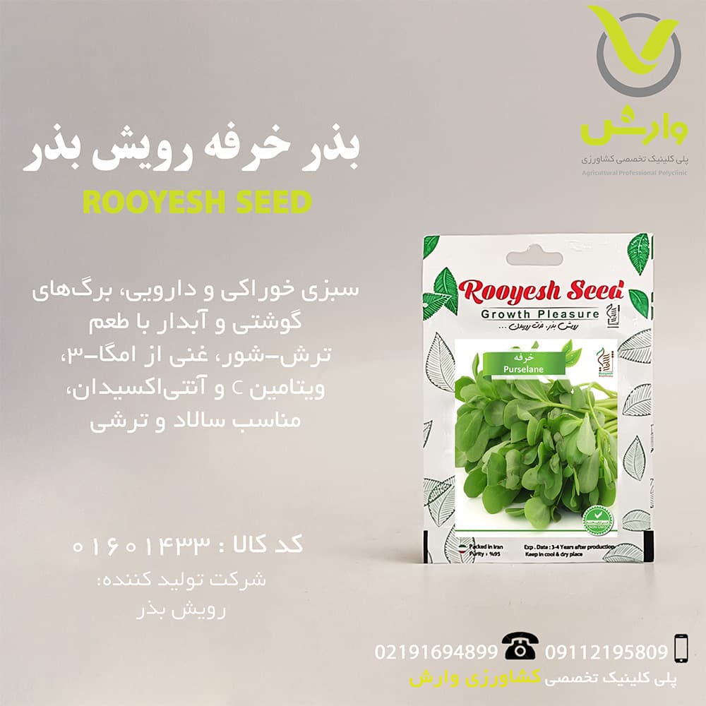بذر خرفه رویش بذر