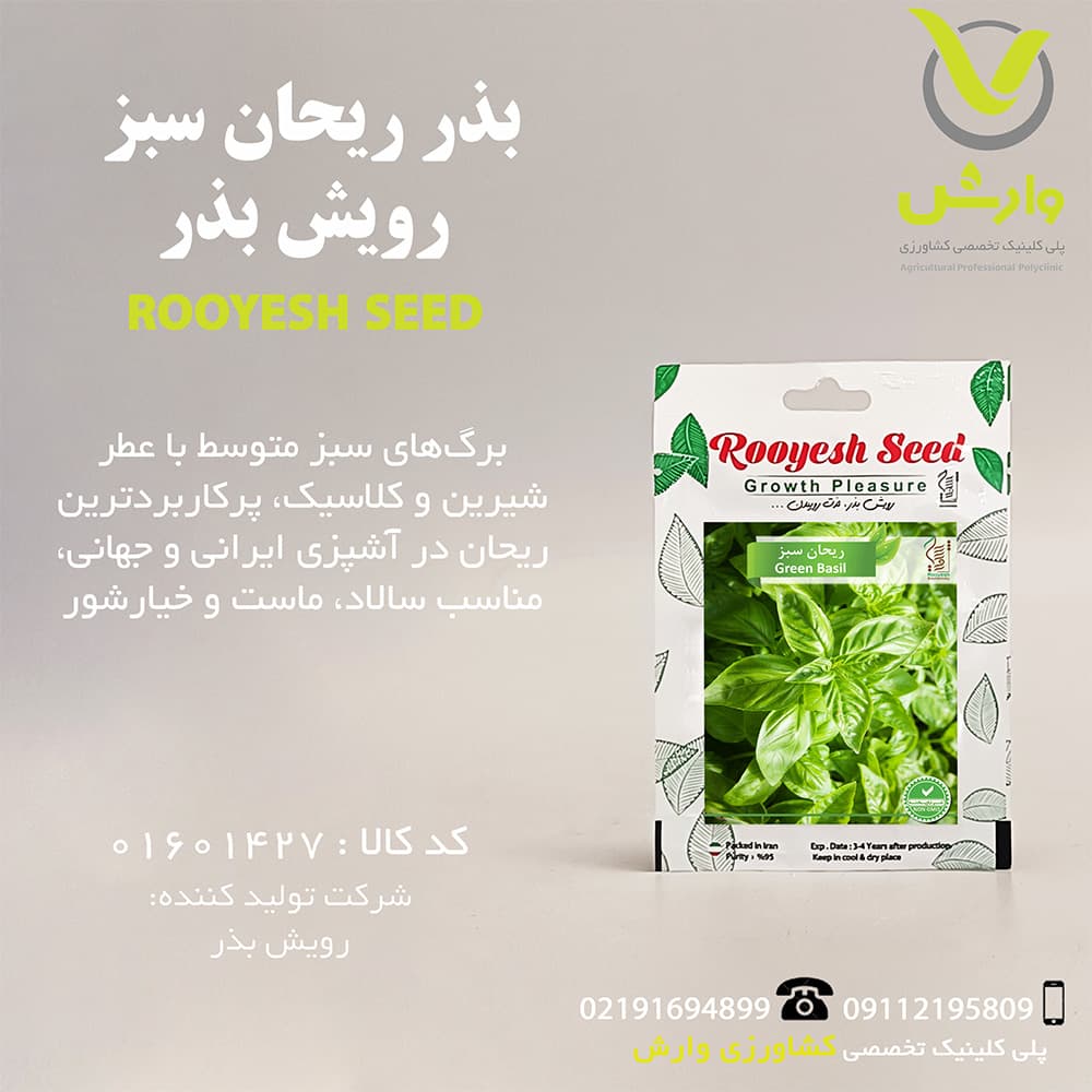 بذر ریحان سبز رویش بذر