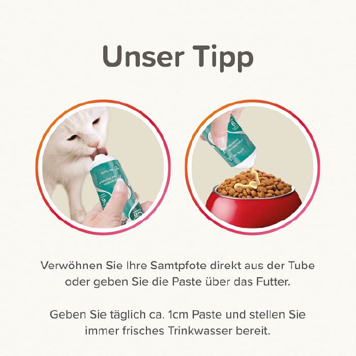 خمیر مولتی ویتامین بچه گربه بیفار وزن 100 گرم Beaphar Junior Paste — تصویر ۴