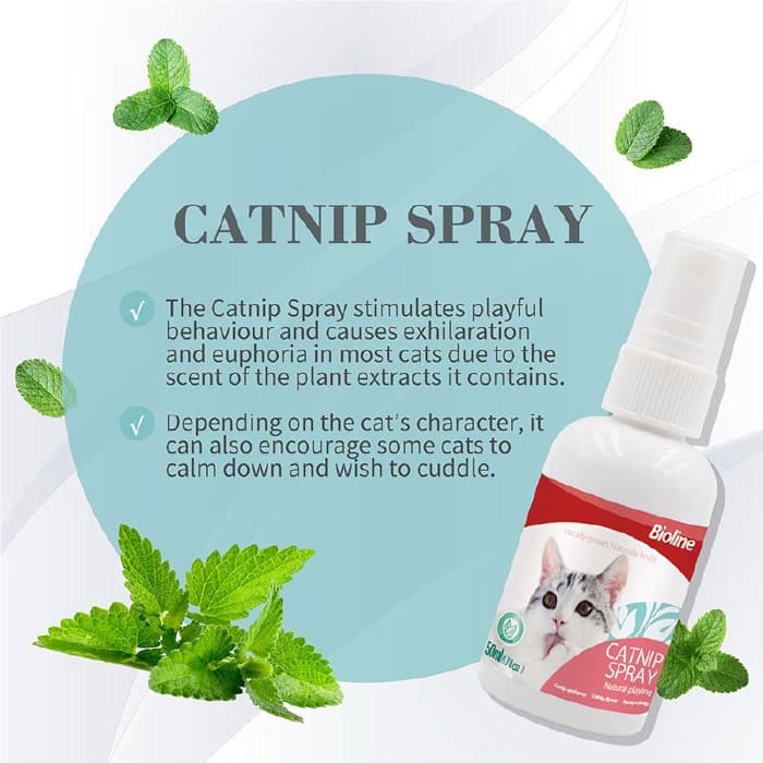 اسپری کت نیپ گربه بایولاین 50 میلی لیتر Catnip spray — تصویر ۳