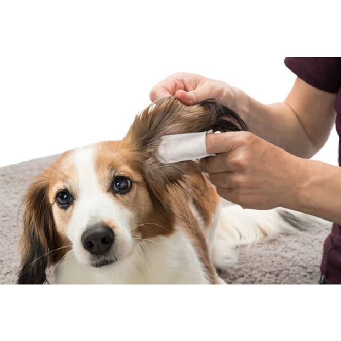 پد تمیزکننده گوش سگ و گربه تریکسی 50 عددی Trixie Ear Care — تصویر ۳
