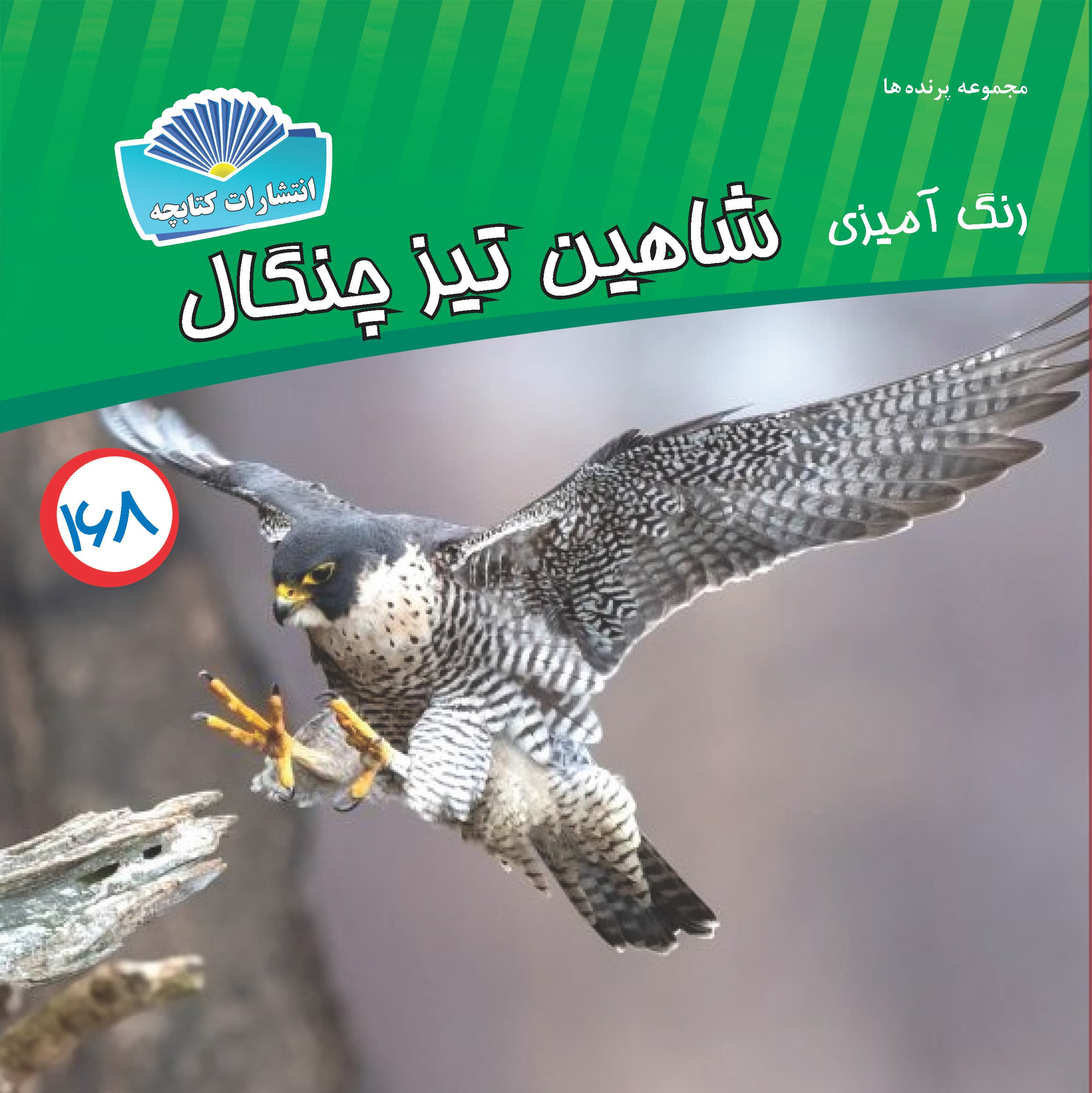 شاهین تیز چنگال (چاپی)