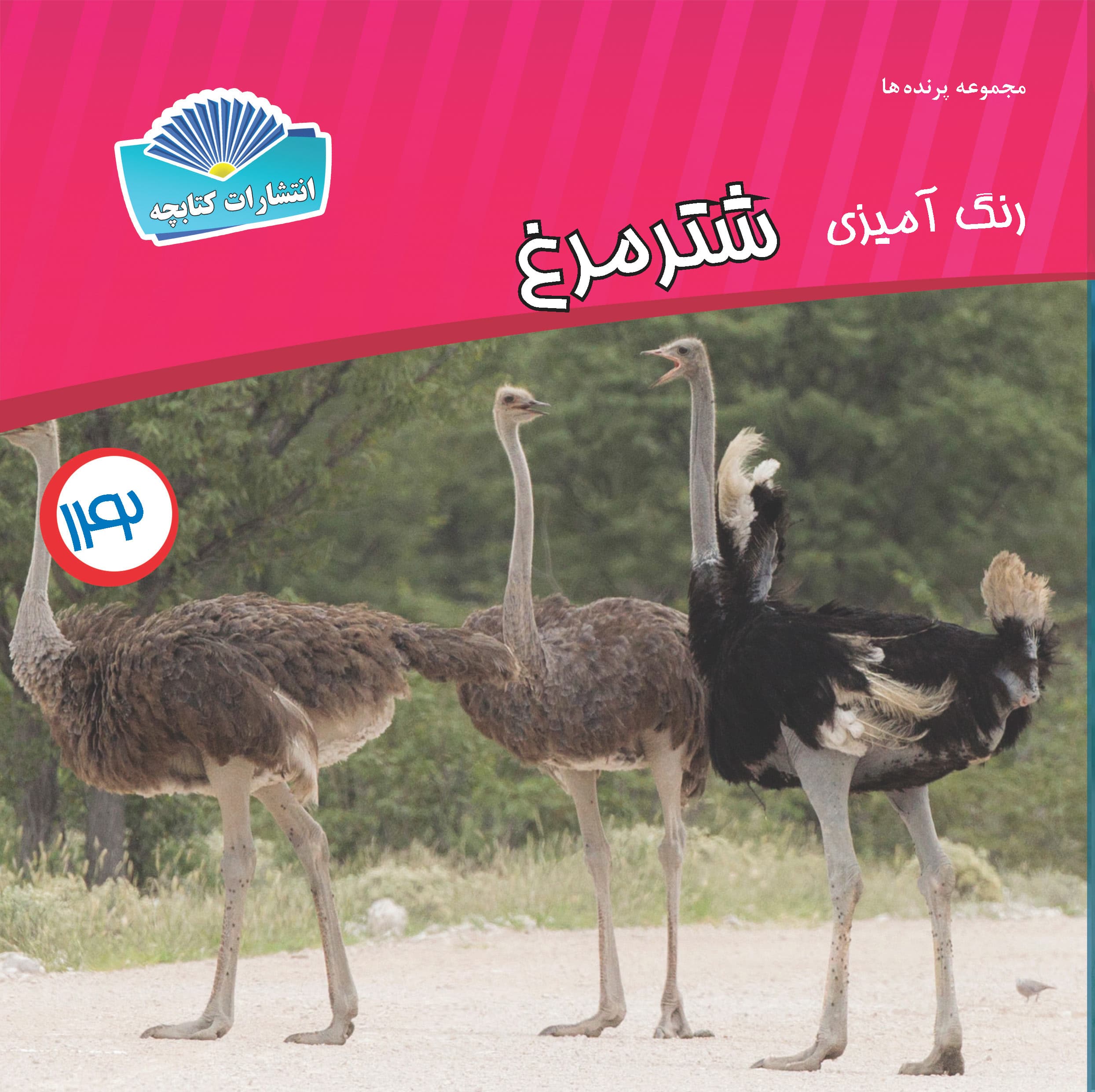 شتر مرغ (چاپی)