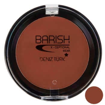 رژگونه تراکوتا باریش مدل Silky touch شماره 204