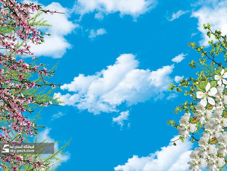 آسمان مجازی آشپزخانه — تصویر ۲