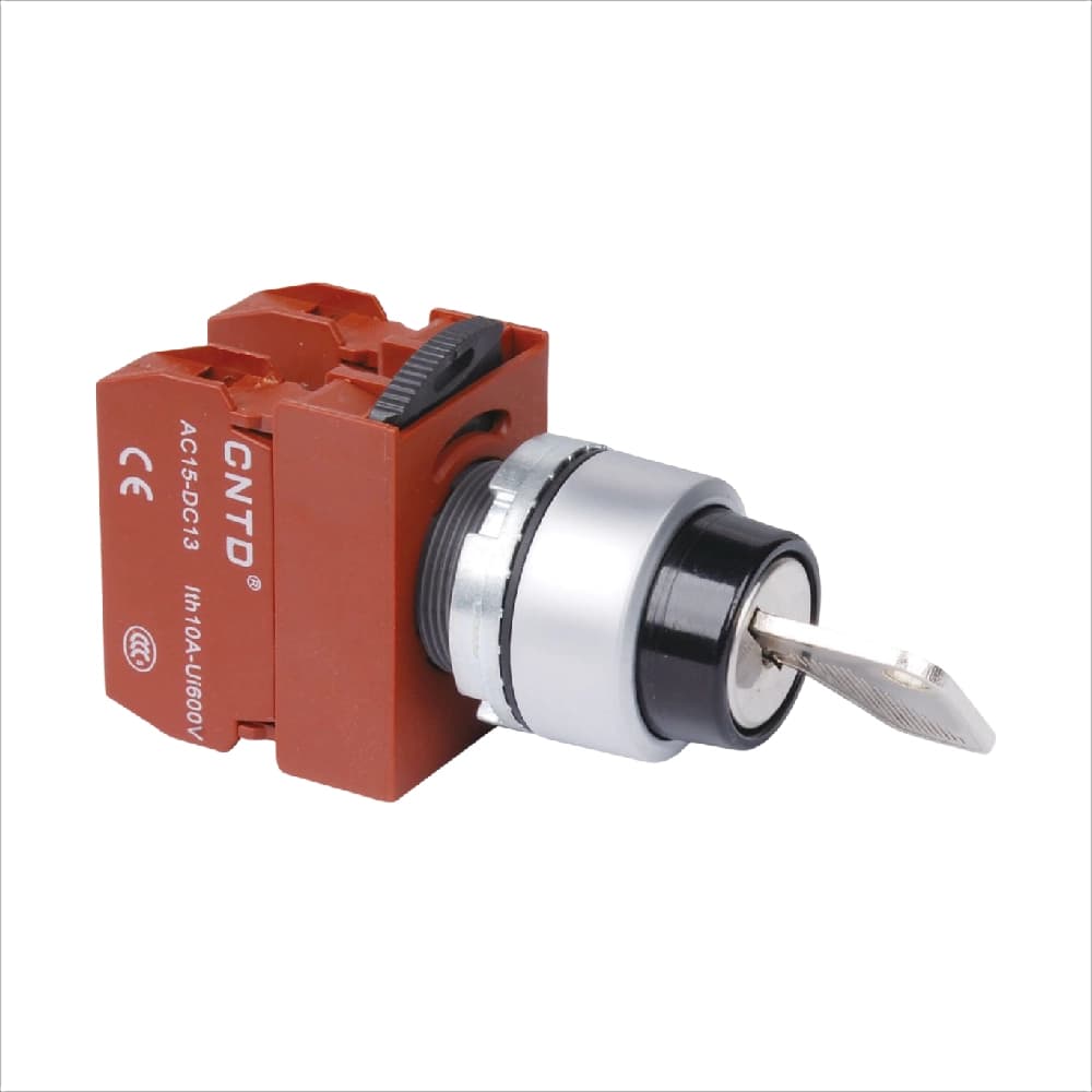 کلید دو طرفه سوئیچ دار CNTD مدل C2SNK-F3