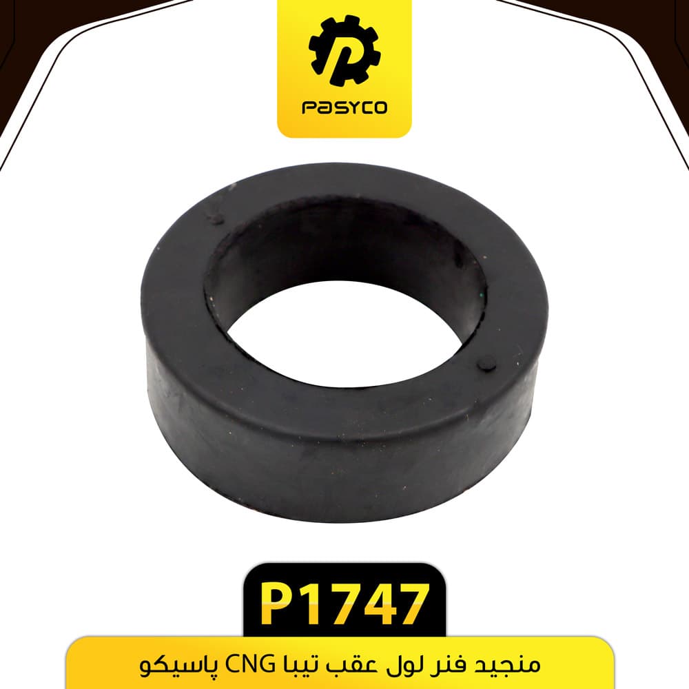 منجید فنر لول عقب تیبا مدل CNG پاسیکو P1747