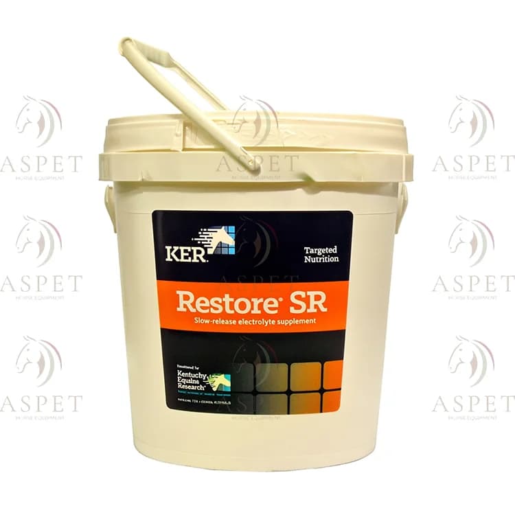 Restore ری استور