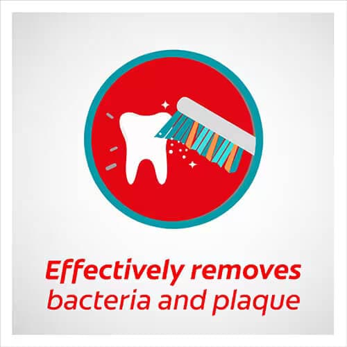 مسواک مدیوم زیگ زاگ کلگیت Colgate Zig Zag — تصویر ۵