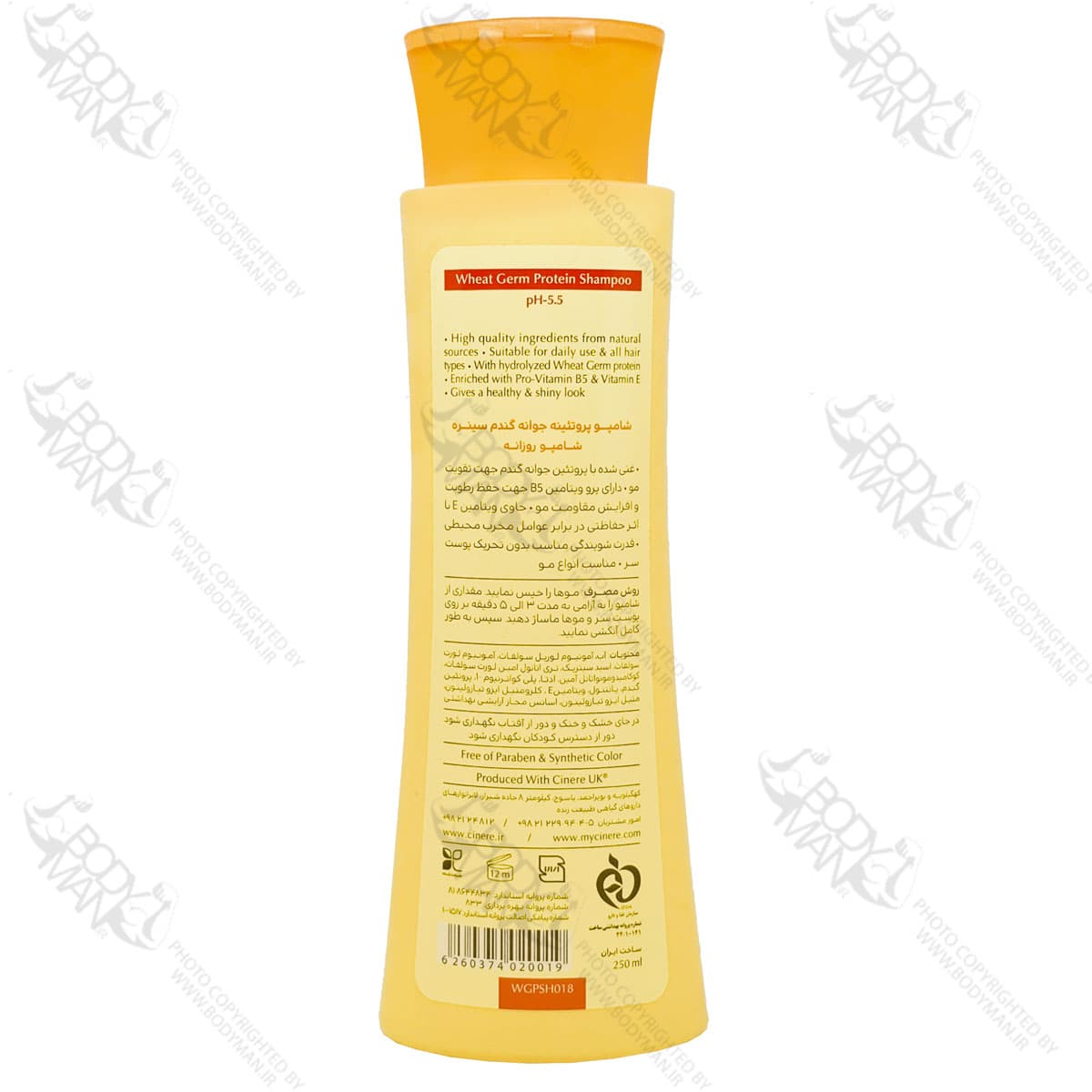 شامپو پروتئینه جوانه گندم سینره | CINERE Wheat Germ Protein SHAMPOO — تصویر ۲