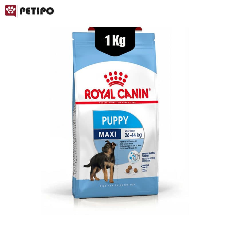 غذای خشک توله سگ نژاد بزرگ مکسی پاپی رویال کنین (Royal Canin Maxi Puppy) وزن 1 کیلوگرم