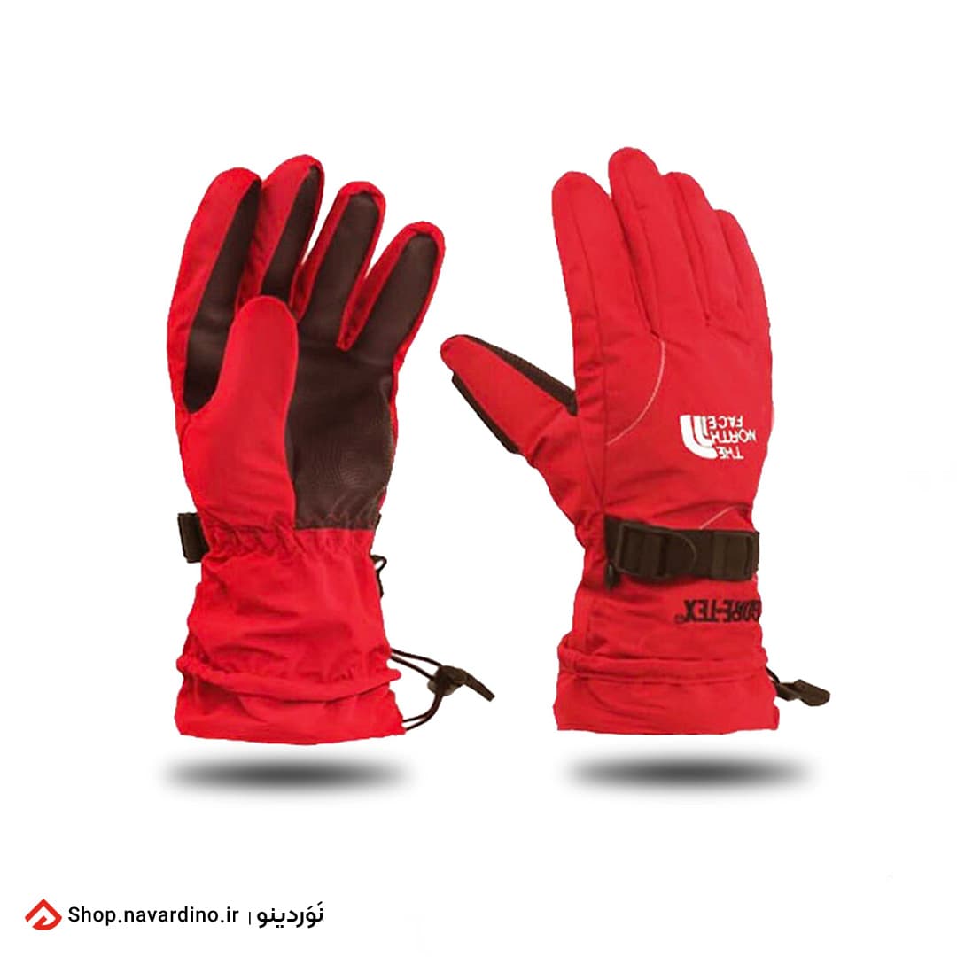 دستکش دوپوش نورث فیس The North Face