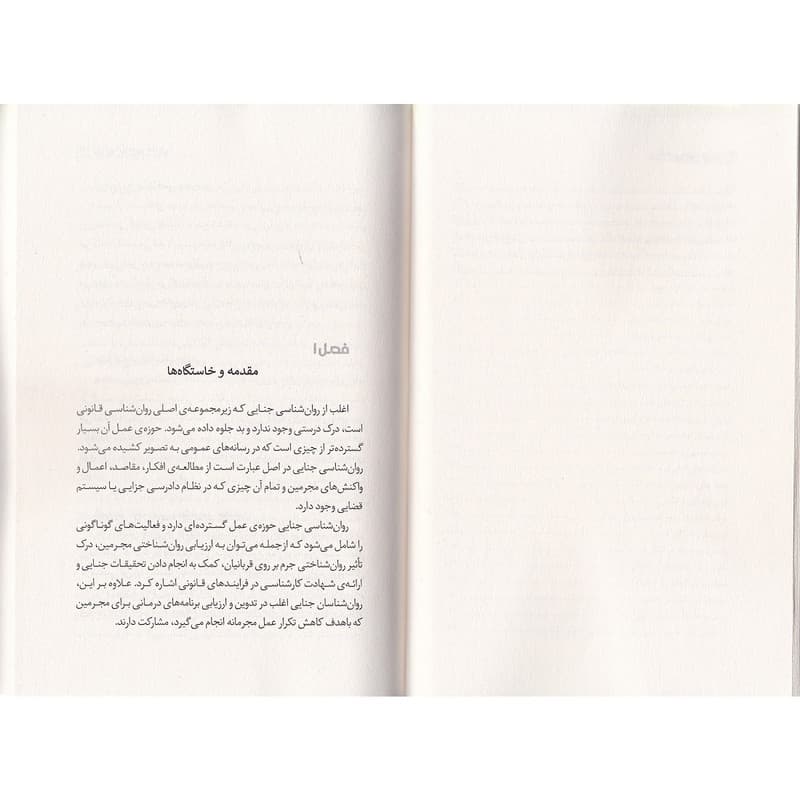 کتاب روانشناسی جنایی اثر موریس هانت ترجمه مینا امیری نشر به روز — تصویر ۵