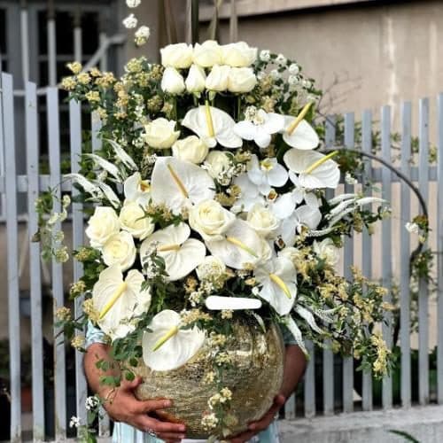 گل فروشی اینترنتی موژان 9902