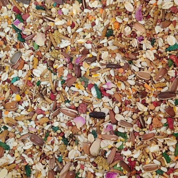 غذای پرنده TMC برای طوطی سانان — تصویر ۴