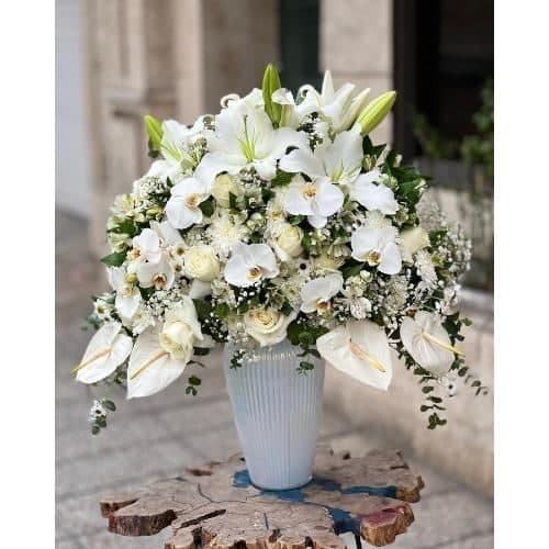 گل فروشی محدوده خیابان رجایی تهران t6782