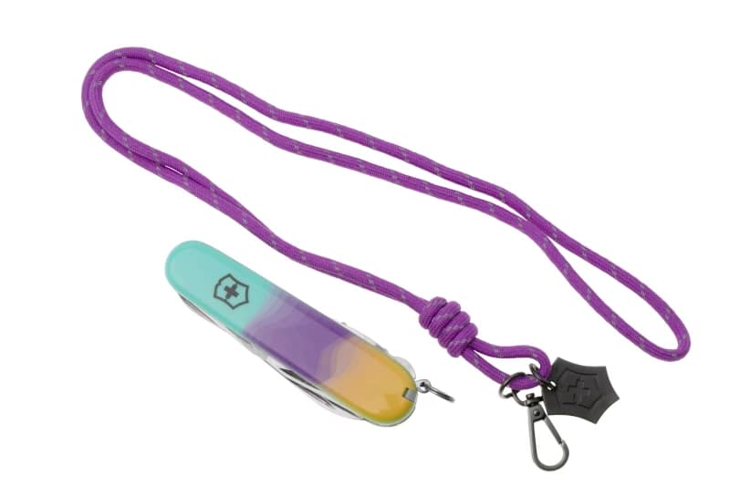 چاقوی ویکتورینوکس مدل Companion Sydney Style کد 1.3909.E222 — تصویر ۶