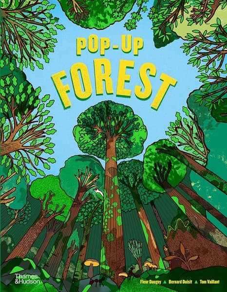 pop up forest