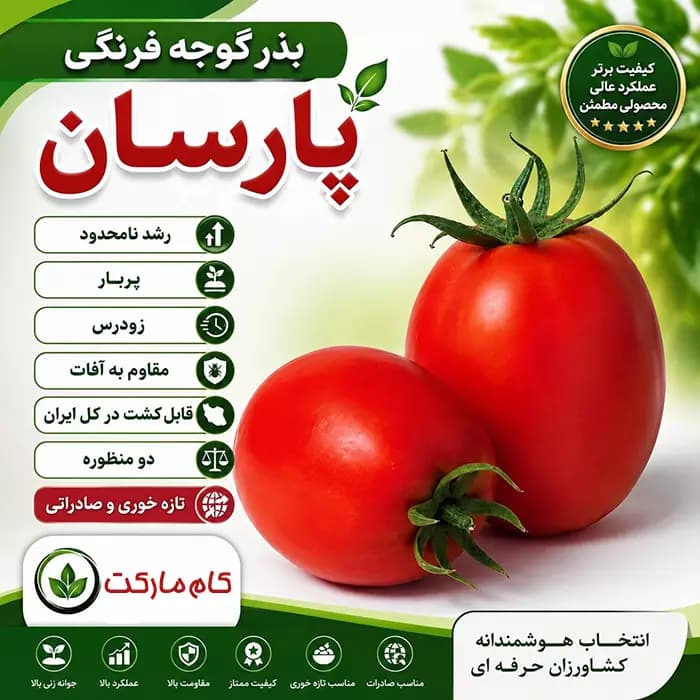 بذر گوجه فرنگی پارسان F1