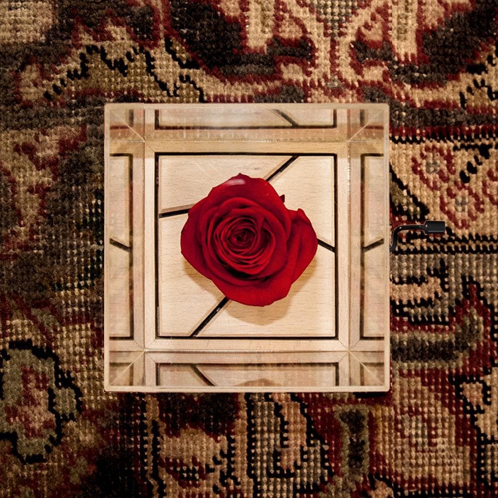 گل رز جاودان موزیکال مدل هندلی ملودی Love story — تصویر ۴