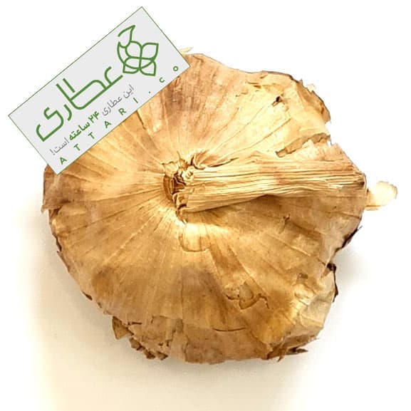 سیر سیاه اعلاء — تصویر ۲