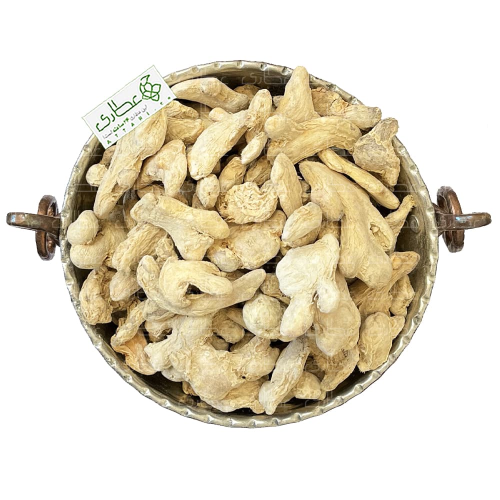 زنجبیل ناکوب چینی (زنجبیل قلم)