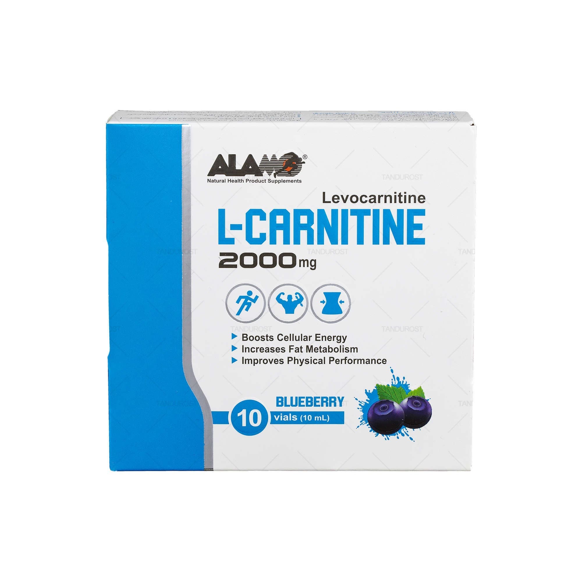 ویال خوراکی ال کارنیتین 2000 آلامو 10 عدد با طعم بلوبری Alamo L Carnitine 2000 10 Vials
