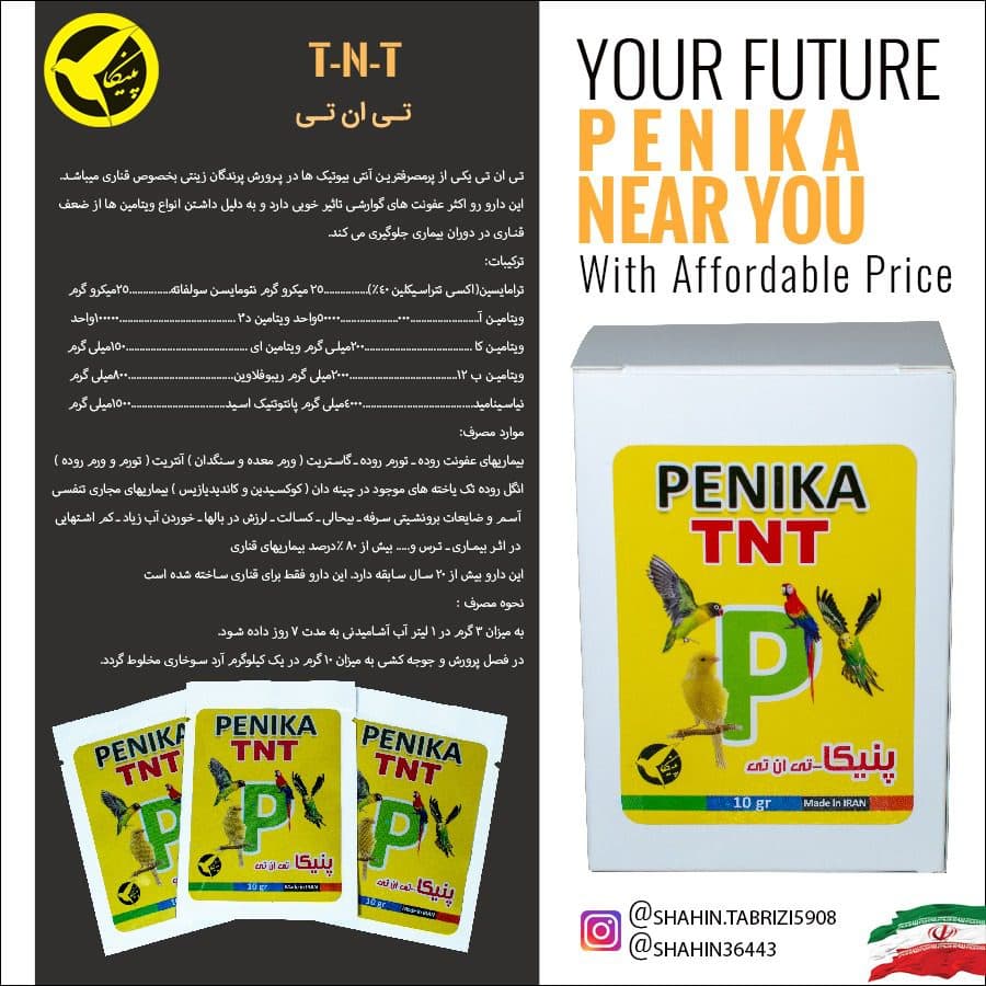 تی ان تی TNT پنیکا